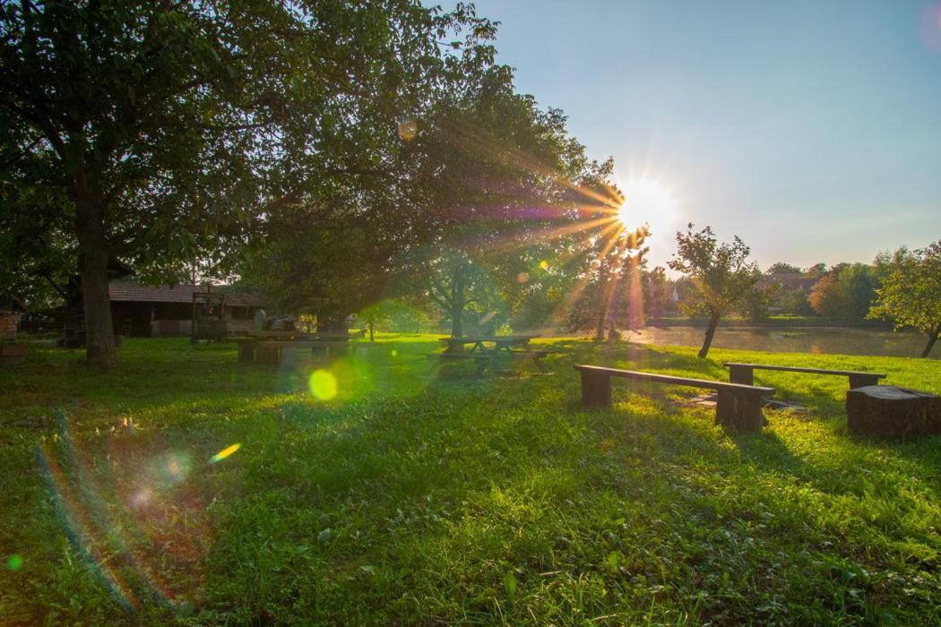 Ubytovani V Hovoranech Hovorany Exteriér fotografie
