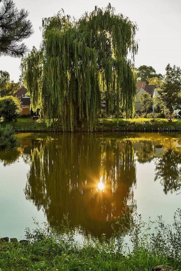 Ubytovani V Hovoranech Hovorany Exteriér fotografie